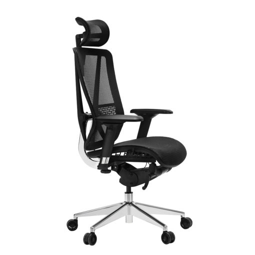 Ergomesh Elite Black Office Chair