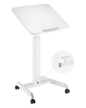 Portable Sit-Stand Desks